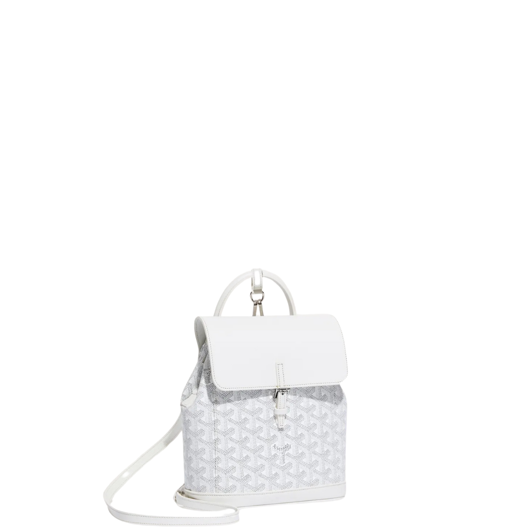 Goyard Alpin Mini Backpack (2-3 DAY SHIP)
