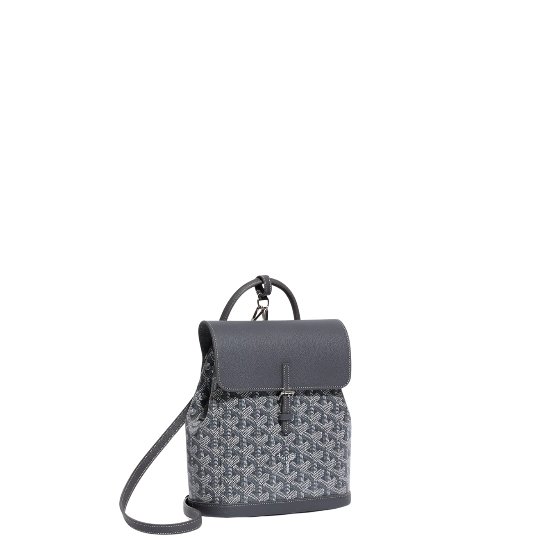 Goyard Alpin Mini Backpack (2-3 DAY SHIP)