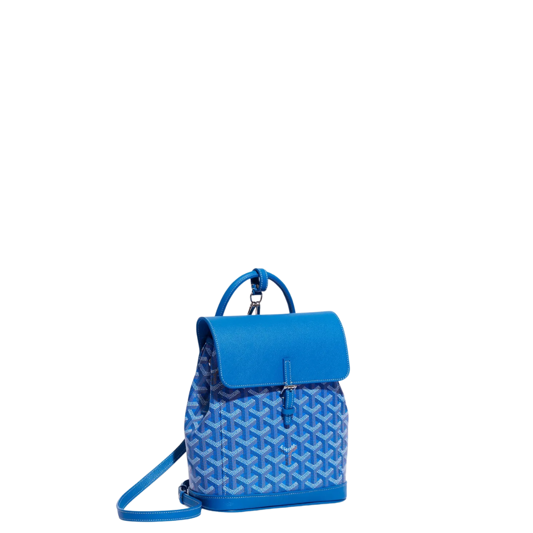 Goyard Alpin Mini Backpack (2-3 DAY SHIP)