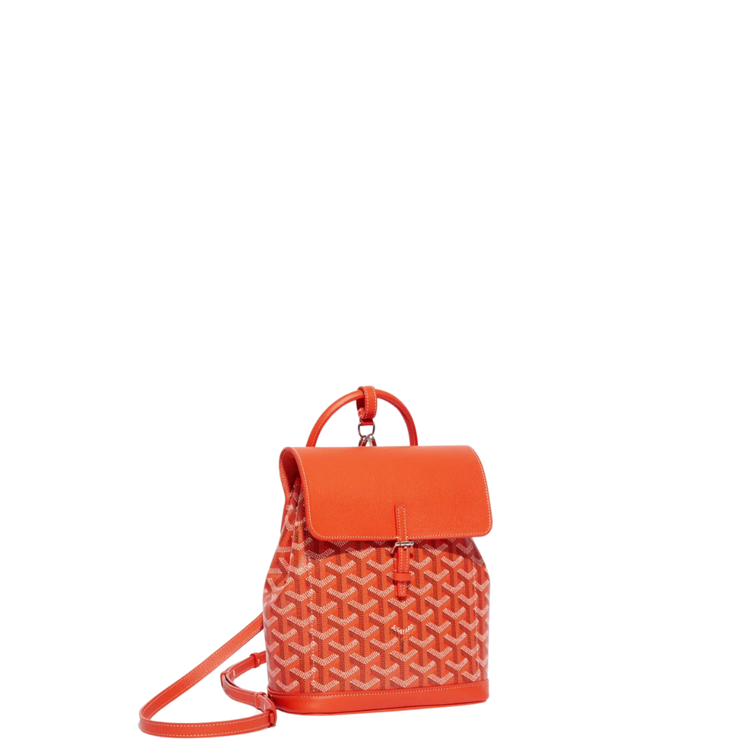 Goyard Alpin Mini Backpack (2-3 DAY SHIP)